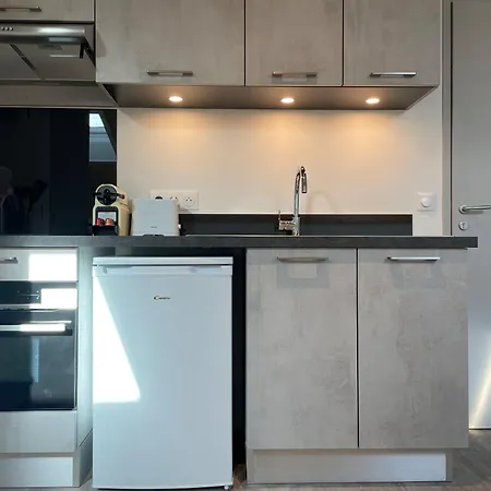 Apartment Climatises En Centre *