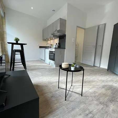 Apartment Climatises En Centre Bordeaux