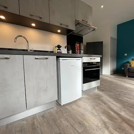 Apartment Climatises En Centre