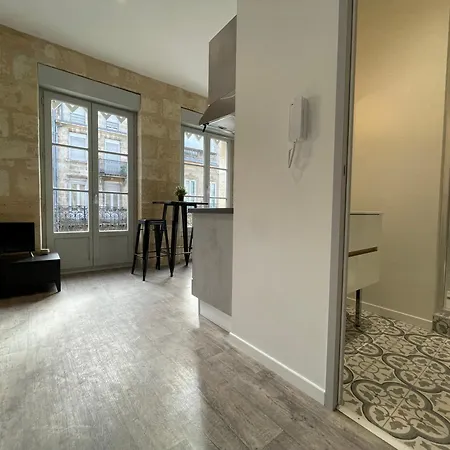 Apartment Climatises En Centre *