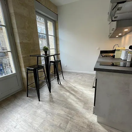 Climatises En Centre Apartment Bordeaux