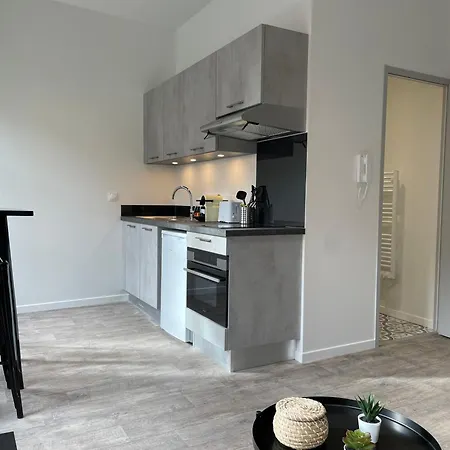 Apartment Climatises En Centre