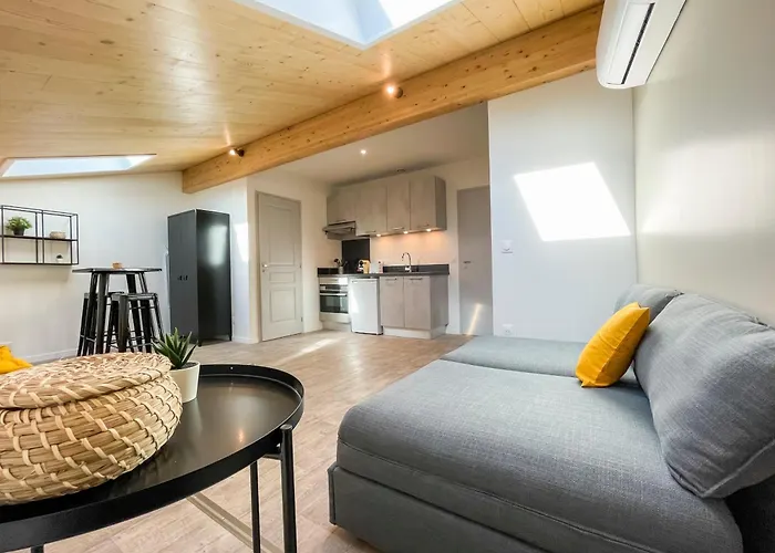 Apartment Climatises En Centre