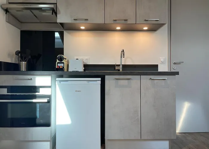 Apartment Climatises En Centre *