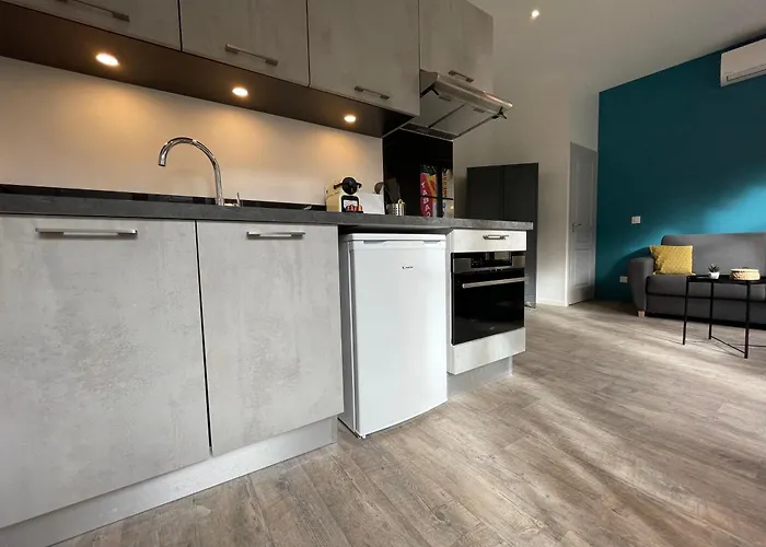 Apartment Climatises En Centre