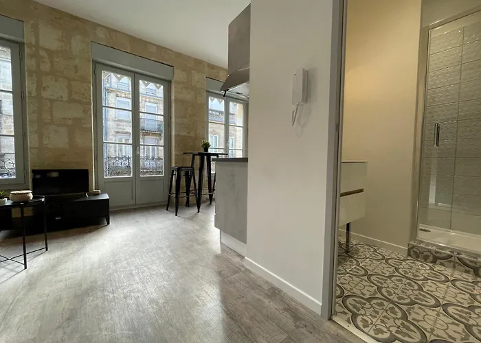 Apartamento Climatises En Centre *