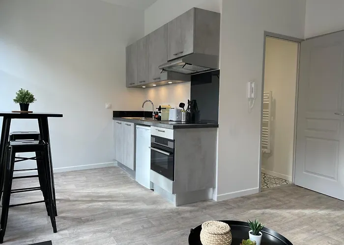 Apartment Climatises En Centre