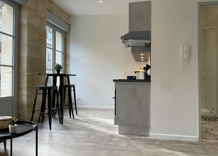 Climatises En Centre Apartment *