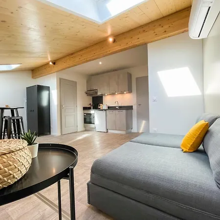 Apartment Climatises En Centre