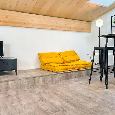 Apartment Climatises En Centre *