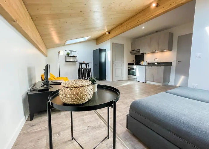 Climatises En Centre Apartamento *